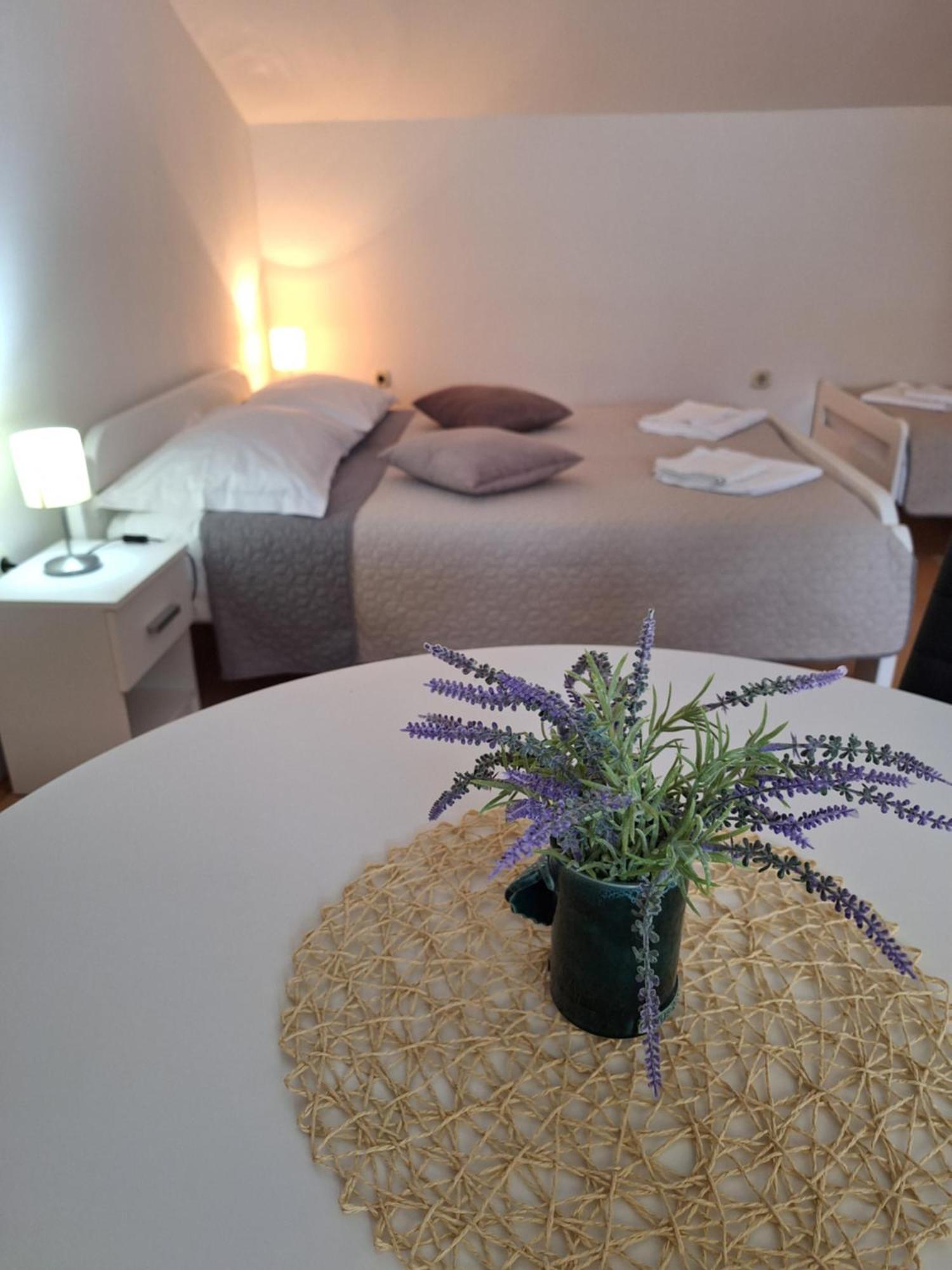 Apartments Kozjan كارلوفاتش المظهر الخارجي الصورة